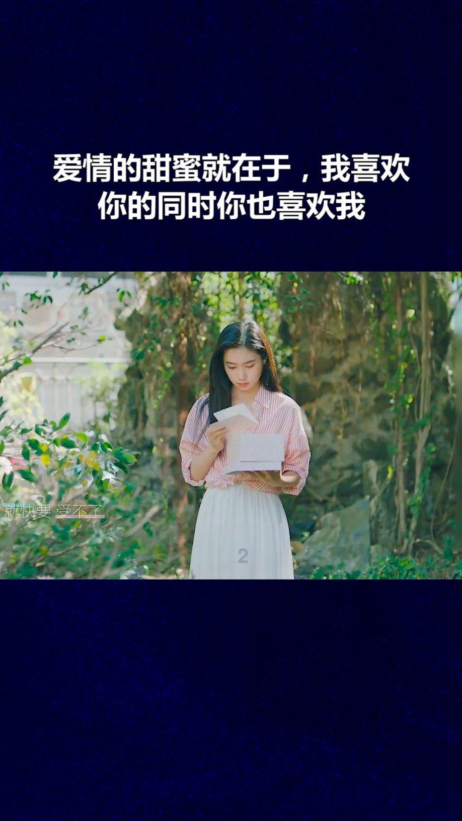 创作猫